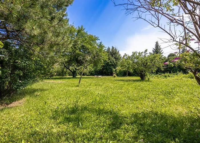 Budget Friendly Private With Garden Apartment